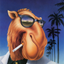 CAMEL