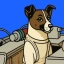 LAIKA