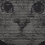 CLANKCAT
