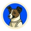 Coin Icon