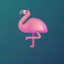 Coin Icon
