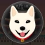 JINDO