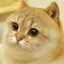 CATE