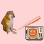Coin Icon