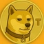 Coin Icon