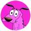 CCDOG