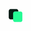 Coin Icon