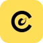 Coin Icon