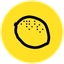 Coin Icon