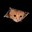 CEILINGCAT