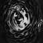DARKPOOL