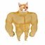 SWOLE