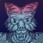 WOLFIE