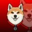 DOKEN