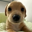 billy