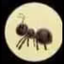 ANT