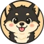 Coin Icon