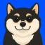 Coin Icon
