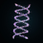 DNA