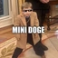 MINIDOGE