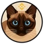 BNBCAT