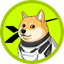 Coin Icon