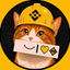 Coin Icon