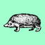 Coin Icon