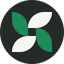 Coin Icon