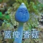 蓝瘦香菇