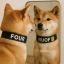 RUOF