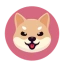 Coin Icon