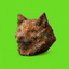 COPPERINU