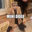 MINIDOGE