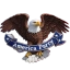 Coin Icon