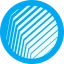 Coin Icon