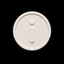 Coin Icon