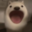 popdog