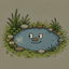 PONDS