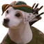 Coin Icon