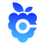 Coin Icon