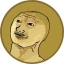 Coin Icon