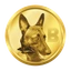 Coin Icon