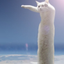 LONG