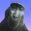 Monke
