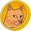 Coin Icon