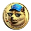 BDOGE