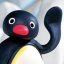 NOOT