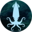 SQUIDS