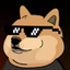 DankDoge
